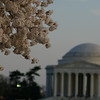 Rebecca's DC pics : 
